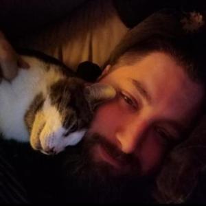 Catori