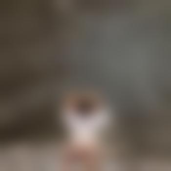 megpie19