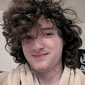 fuzzfacesys