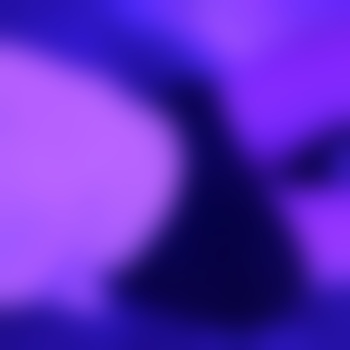 kittysix7