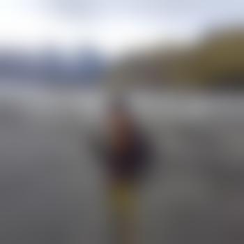 Nitro81