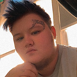 BeautybotSean