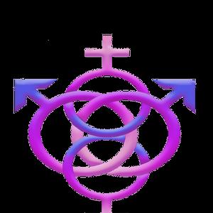 The Playgrounds Swingers Club