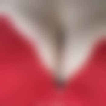 harleyrose96
