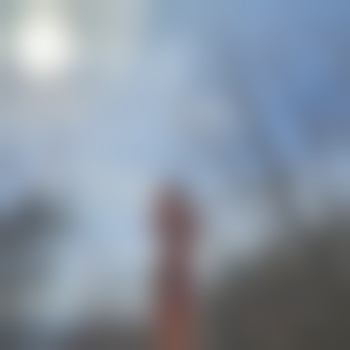 gainesville71915