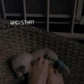 barefootabortion