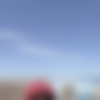 springfield235157