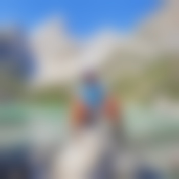 big-sky64237