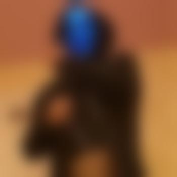 Assinvader