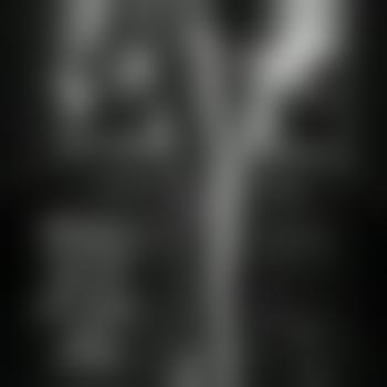 kinkychristine
