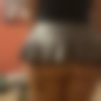 pervpuppy
