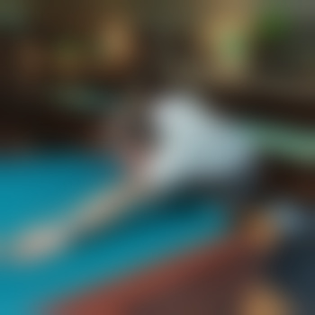 Enthousiastic_Newbie