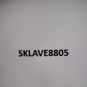Sklave8805