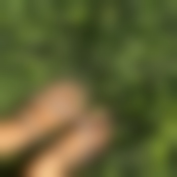 Arii444