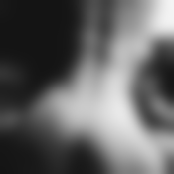 CatintheDark