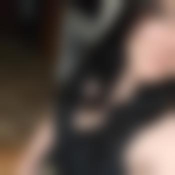 Chaotic_pet
