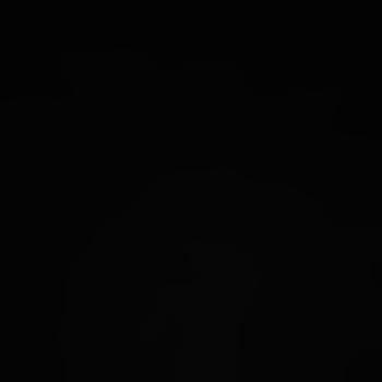 nsfisch