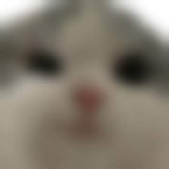 bambie626