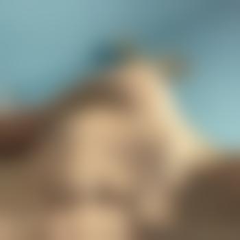 snagglejr