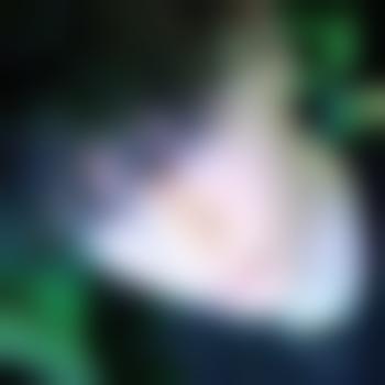 DarkXD