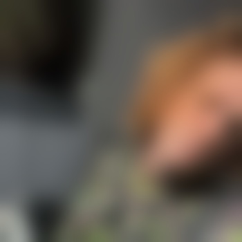 GingerTC
