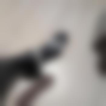 SissyWithNeeds