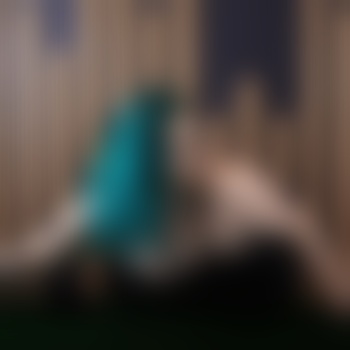 megpie19