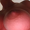 Dee-6705