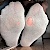 Dom_Fin_Master_20