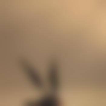 goodgirlpraiseplease