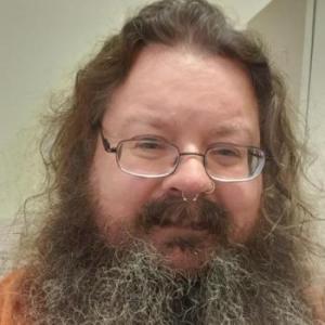 hobo-bear