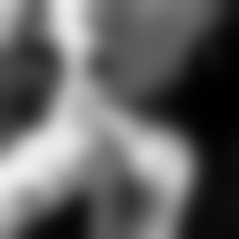 The_Vyxxxn