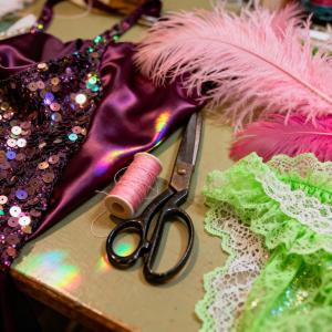 SFW Costumes