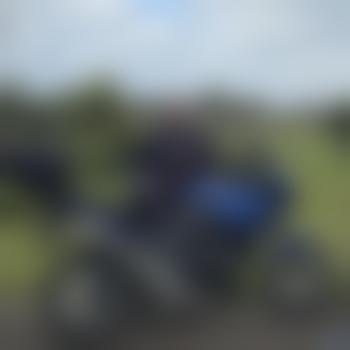 TigerTriumph73