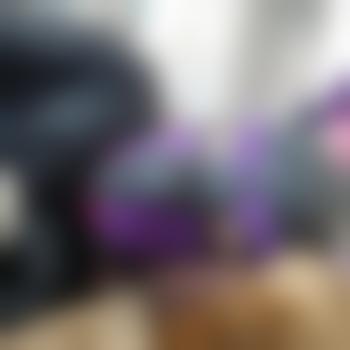 PervTransWindDogSkla