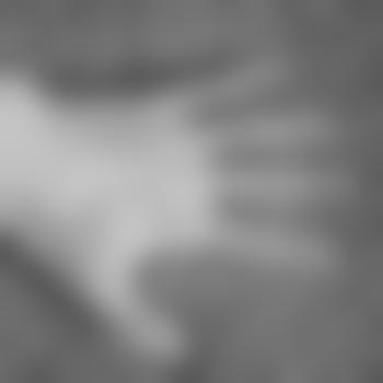 Ev1l_Sword