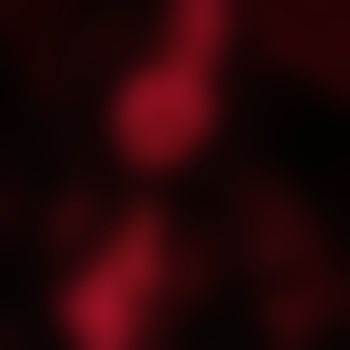 MIN4