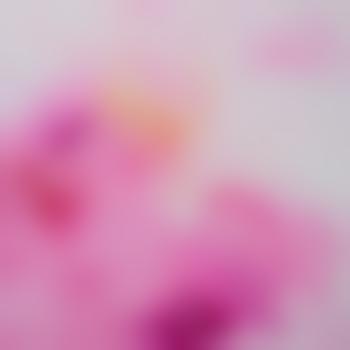 Lilkittyprincess2019