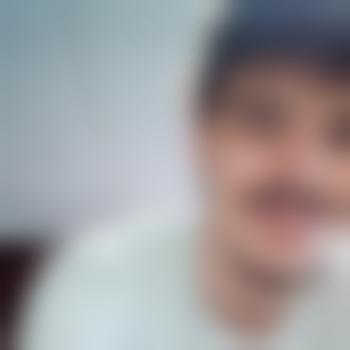 daviddinardo25issnap