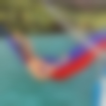 Dan____