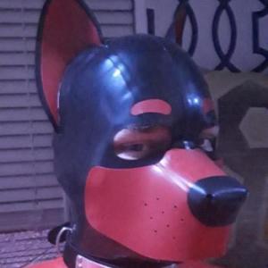Pup