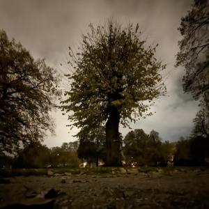 Unterer Luisenpark