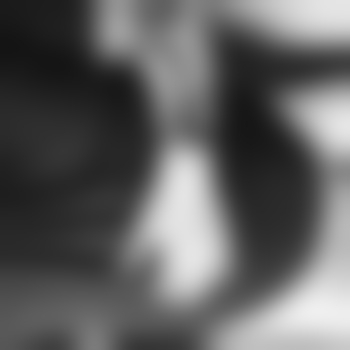 Steph1999