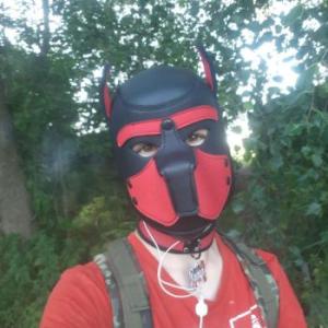Puppy_Dexter