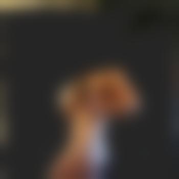 Notyouraveragedaddy