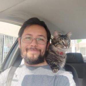 the_cat_took_over