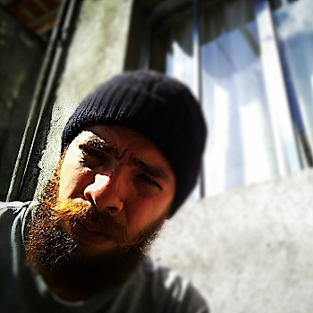 SigDom