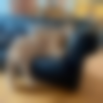 emmadarling37