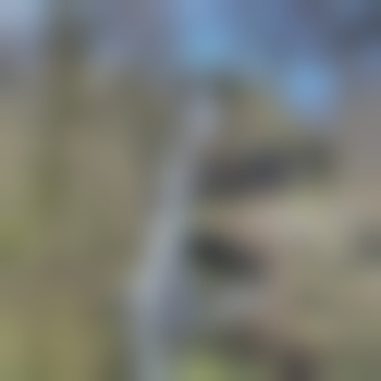 TittySuckerMK