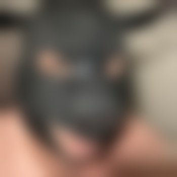 NoLimitFagTexas